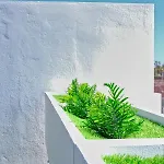 Gold - Duplex - Near The With Air-con By Lanzarote Prázdninový dům Playa Blanca (Lanzarote)